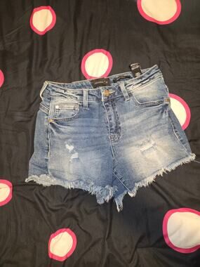 Kendall + Kylie Distressed Denim Shorts- The Icon Collection Size 3/26